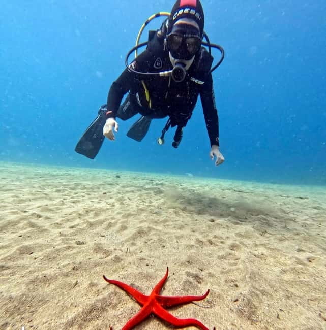 Lanzarote Your First Scuba Diving Experience - What Happens Before You Go Under: Breathing, Signals, and Calm Practice