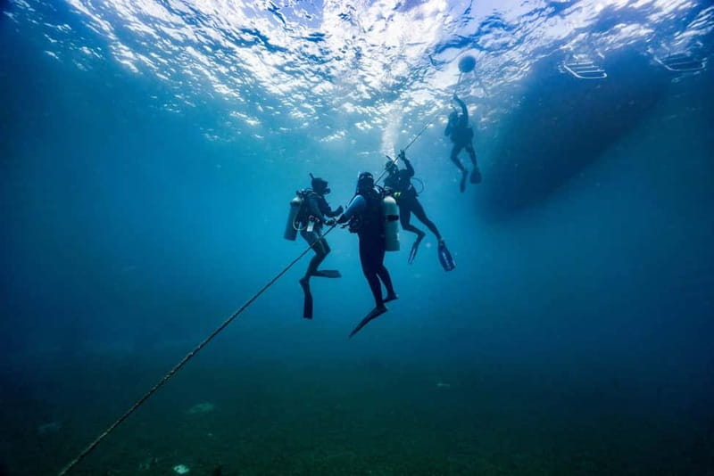 Lanzarote Your First Scuba Diving Experience - Photos, Videos, and the Value Beyond the Water