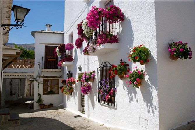 Las Alpujarras Full-Day Tour with Optional Lunch from Granada - Key Things That Make This Tour Worth Your Time