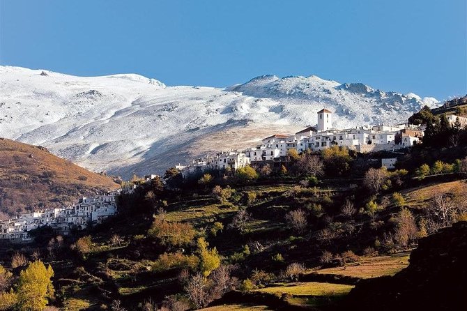 Las Alpujarras Full-Day Tour with Optional Lunch from Granada - Trevelez at 1,476 m: Ham Country and Gourmet Tapas