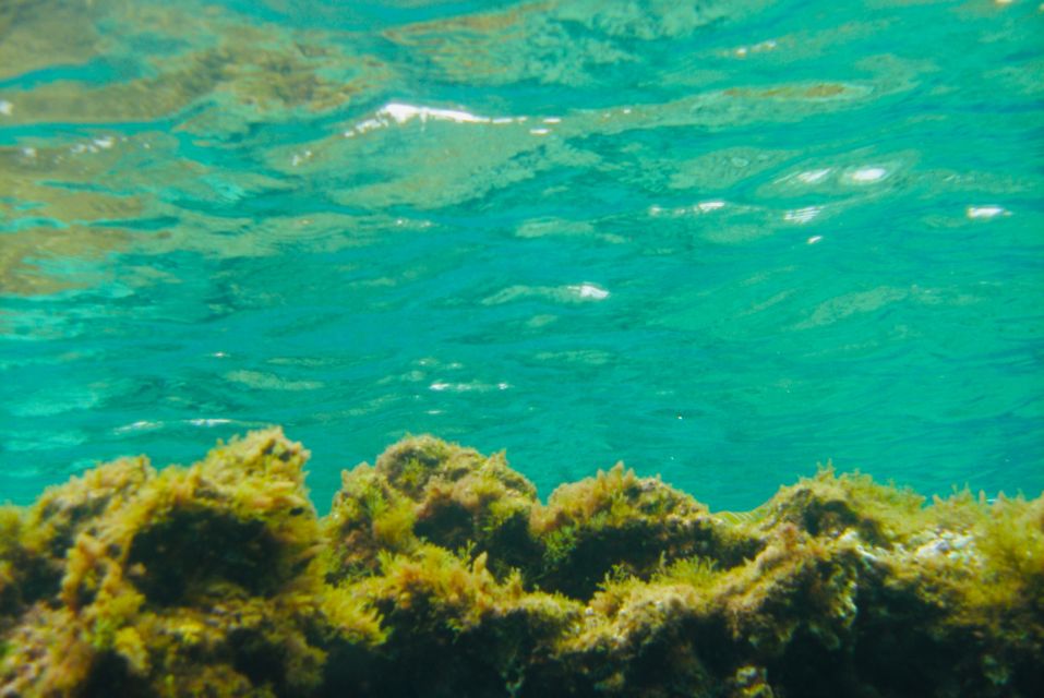 Las Canteras Scuba Diving - Why Las Canteras is such a smart place to start