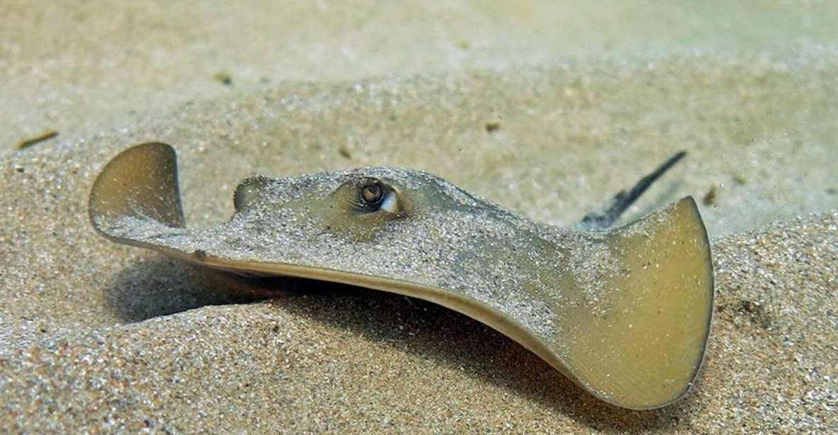 Las Canteras Scuba Diving - Your 3-hour game plan: from meet-up to gear to ocean time