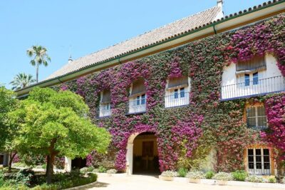 "Las Dueñas" Palace ticket + Audioguide - Palacio de Las Dueñas interior: courtyards, antiques, and the Casa de Alba setting