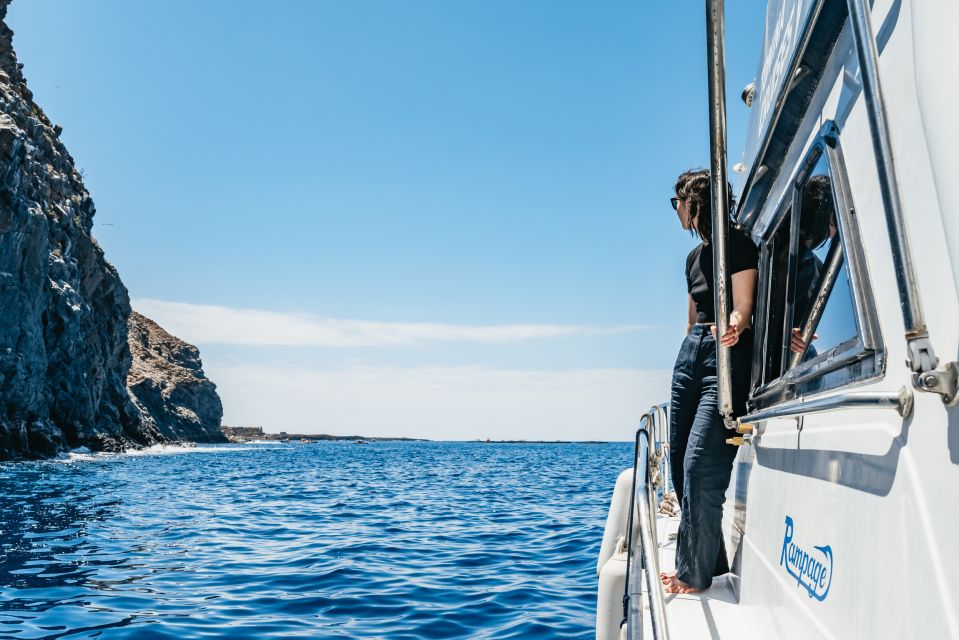 Las Galletas: Whale & Dolphin Tour with Local Skipper - What to Bring (So You Don’t Turn This Into a Soggy Disaster)