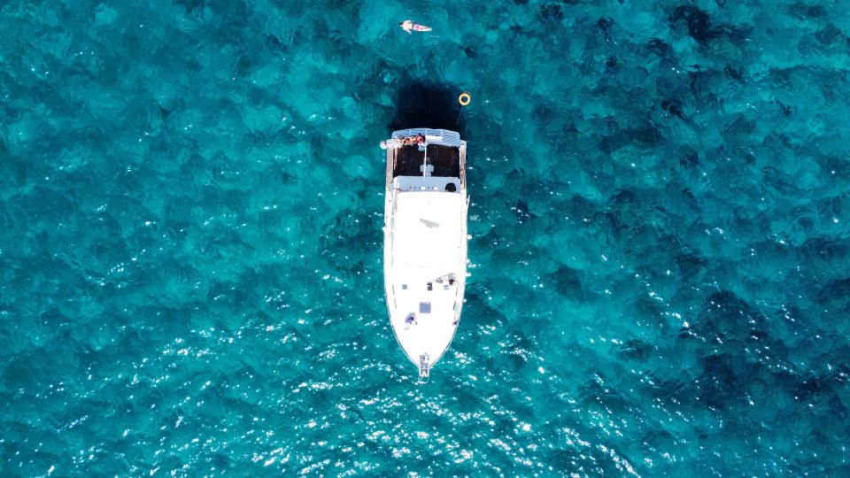 Las Galletas: Whale & Dolphin Tour with Local Skipper - Swimming and Snorkeling: Where the Day Can Change Based on Sea Conditions