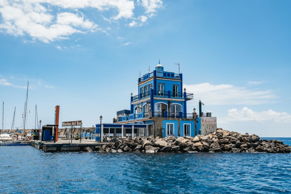 Las Galletas: Whale & Dolphin Tour with Local Skipper - Lunch Onboard: Homemade Local Food That Makes the Value Make Sense