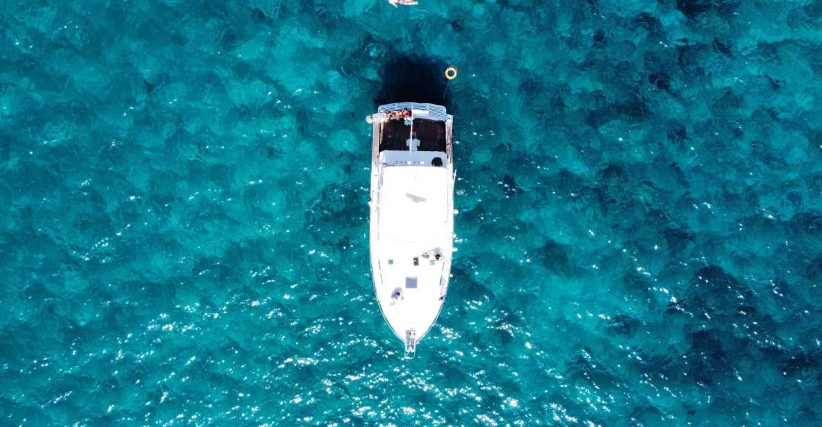 Las Galletas: Whale & Dolphin Tour with Local Skipper - Price and Value: How $69 Adds Up on This Yacht Day