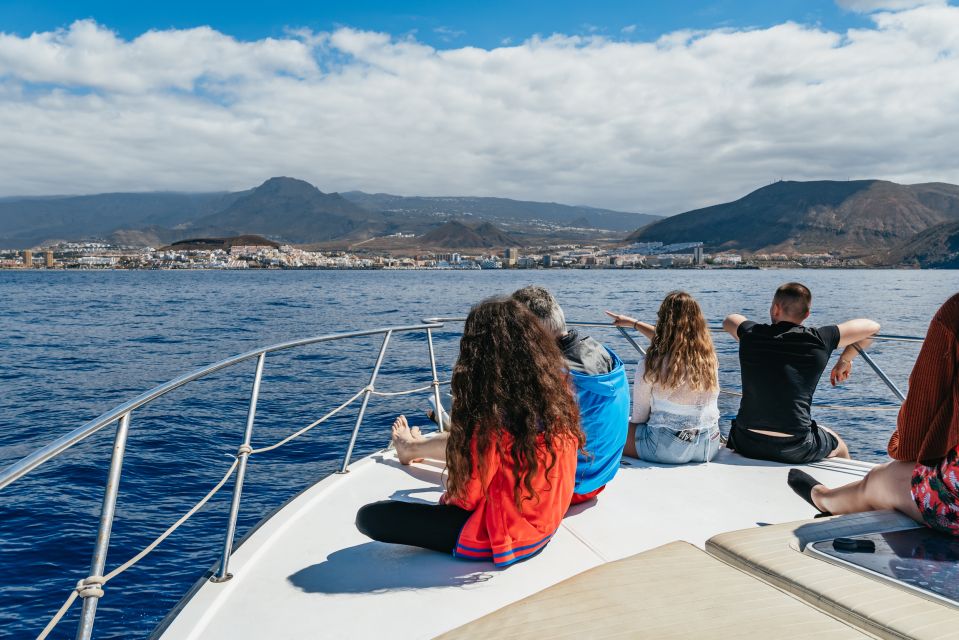 Las Galletas: Whale & Dolphin Tour with Local Skipper - Getting There From Santa Cruz: Pickup or Self-Meet at the Port