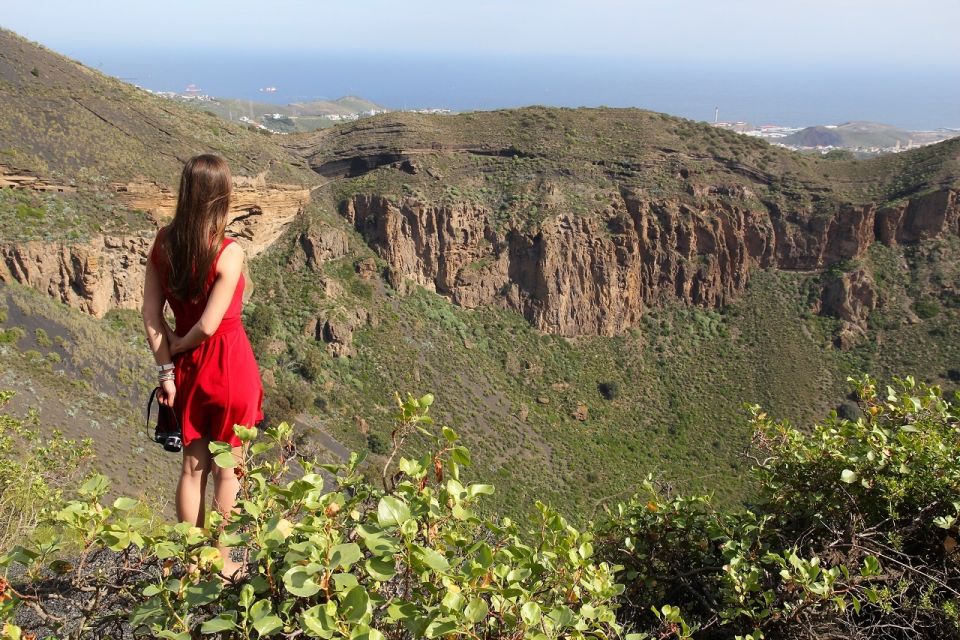 Las Palmas, Botanical Gardens and Bandama Volcano Tour - Las Canteras Beach and Alfredo Kraus area: make the free time work for you