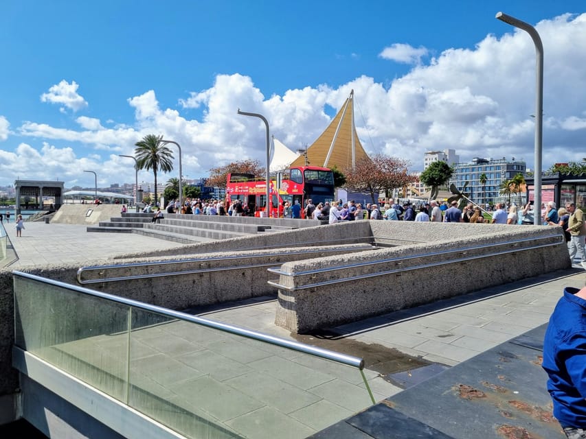 Las Palmas: City Sightseeing Hop-On Hop-Off Bus Tour - Comfort, maintenance, and what to expect on the day