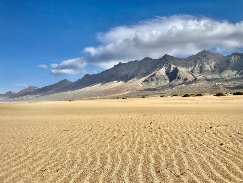 Las Palmas: Fuerteventura Cofete Beach and Desert Safari - From hotel pickup to the southern coast in a Land Cruiser