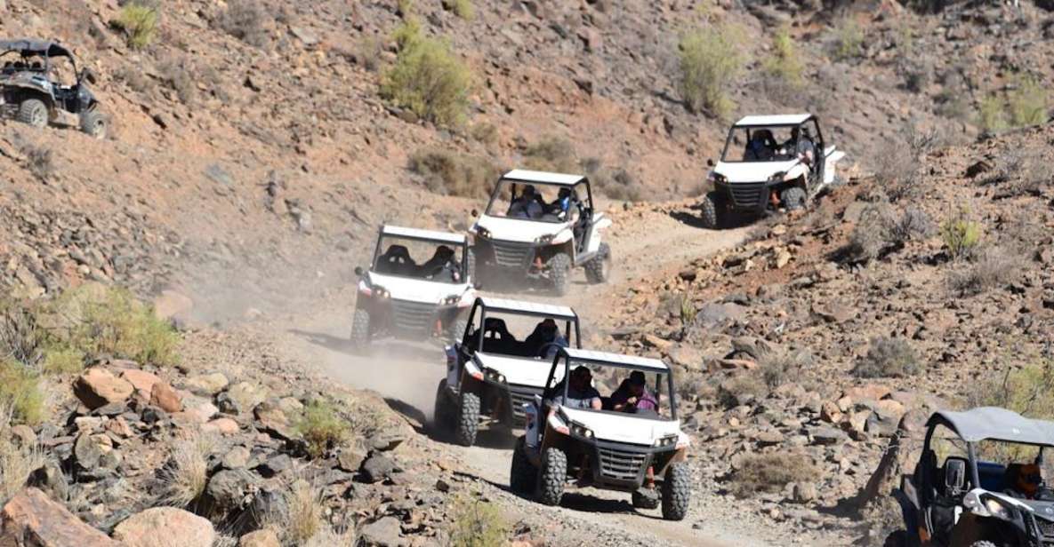 Las Palmas: Gran Canaria Guided Buggy Tour - The 2-Hour Route: Dirt Trails, Rocky Slowdowns, and Fast Corners