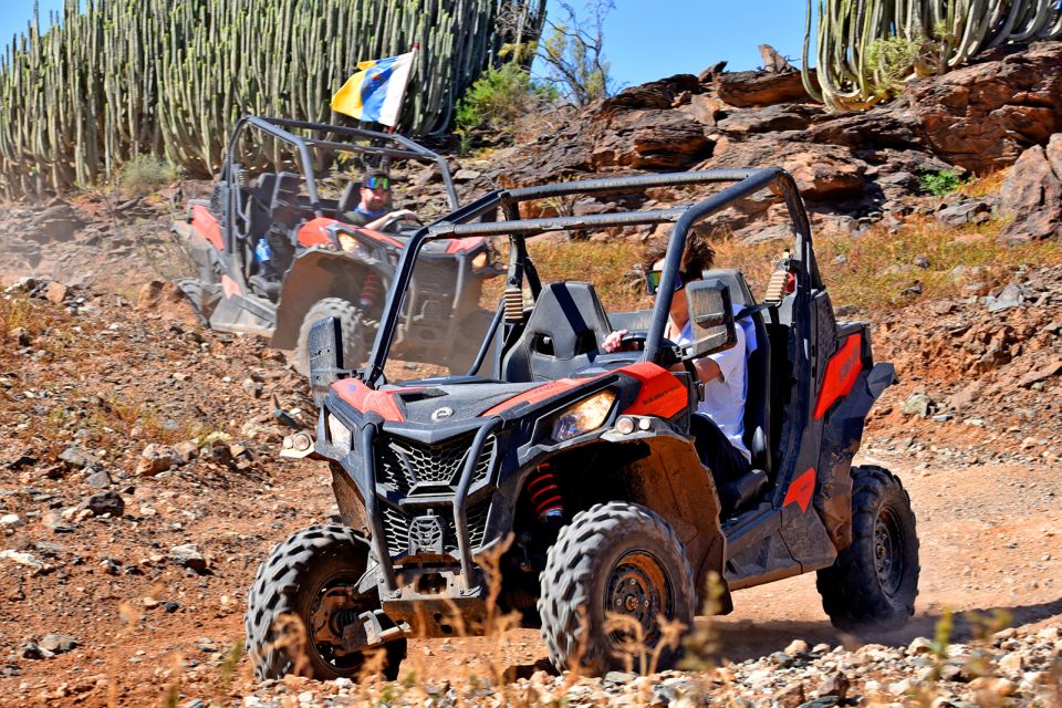 Las Palmas: Gran Canaria Guided Buggy Tour - Dust, Comfort, and What to Wear for a Buggy Safari