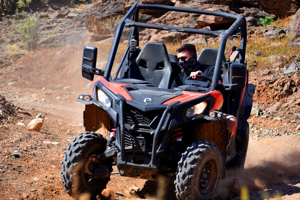 Las Palmas: Gran Canaria Guided Buggy Tour - Safety Rules That Shape Who Can Join (Driver vs Passenger)