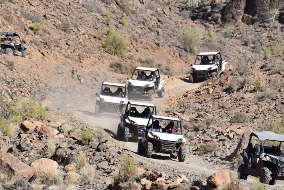 Las Palmas: Gran Canaria Guided Buggy Tour - Price and Value: Is $141 for Two Hours Worth It?