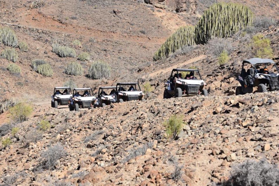 Las Palmas: Gran Canaria Guided Buggy Tour - Starting in Las Palmas: Pickup, Paperwork, and Getting Kitted