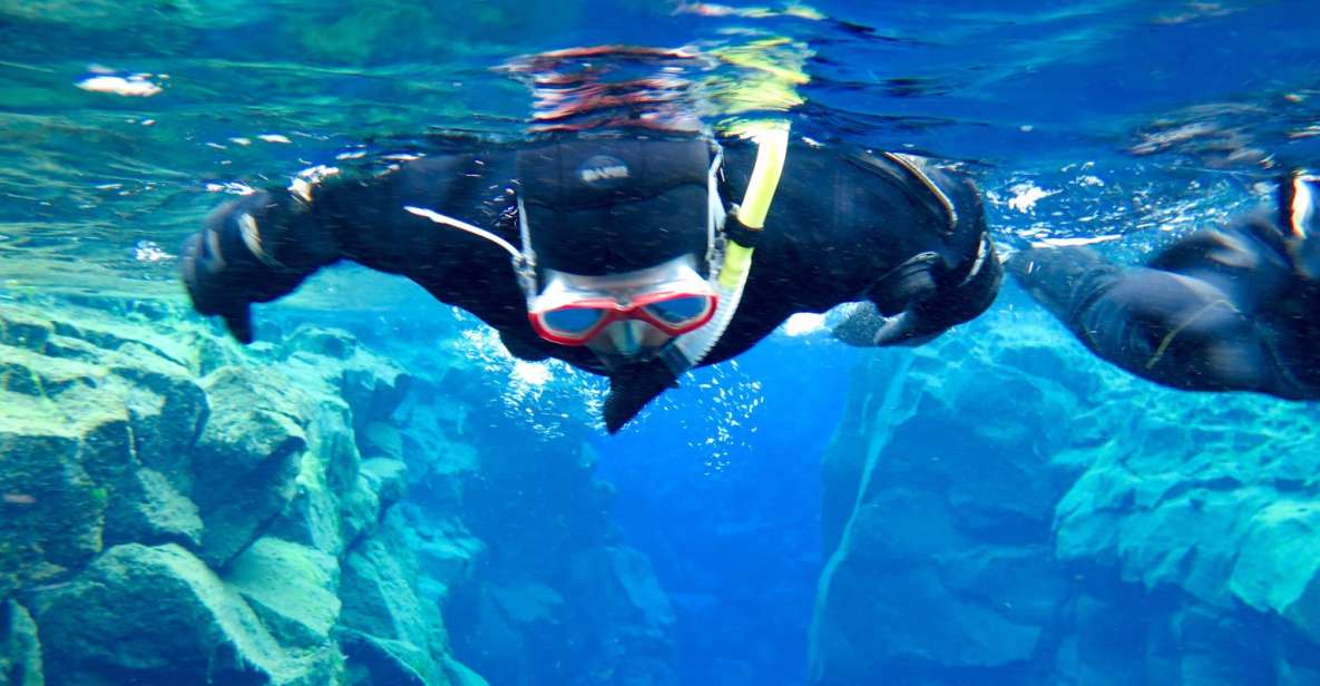 Las Palmas: Las Canteras Beach Snorkeling Trip - Las Canteras Snorkeling: Why This Beach Trip Feels Special