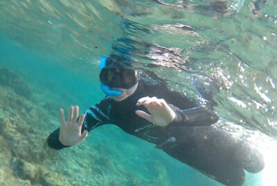 Las Palmas: Las Canteras Beach Snorkeling Trip - Where You Meet and What Happens Before You Enter the Water