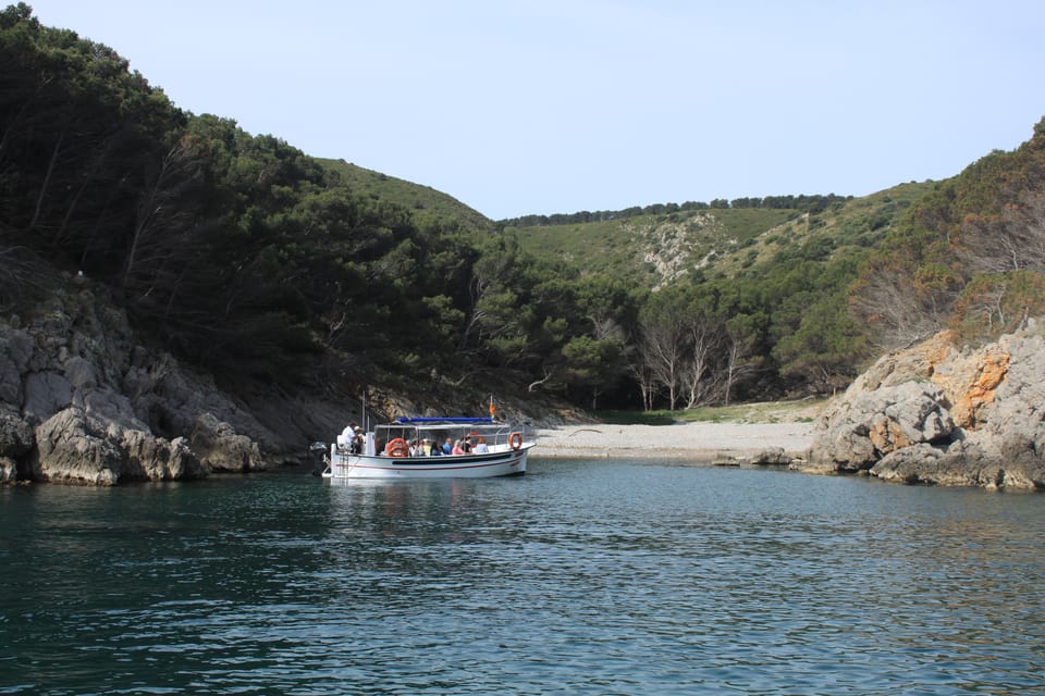 L'Estartit: Boat Trip to the Medes Islands and the NP Caves - Why L’Estartit and the Medes Islands Pair So Well for 90 Minutes