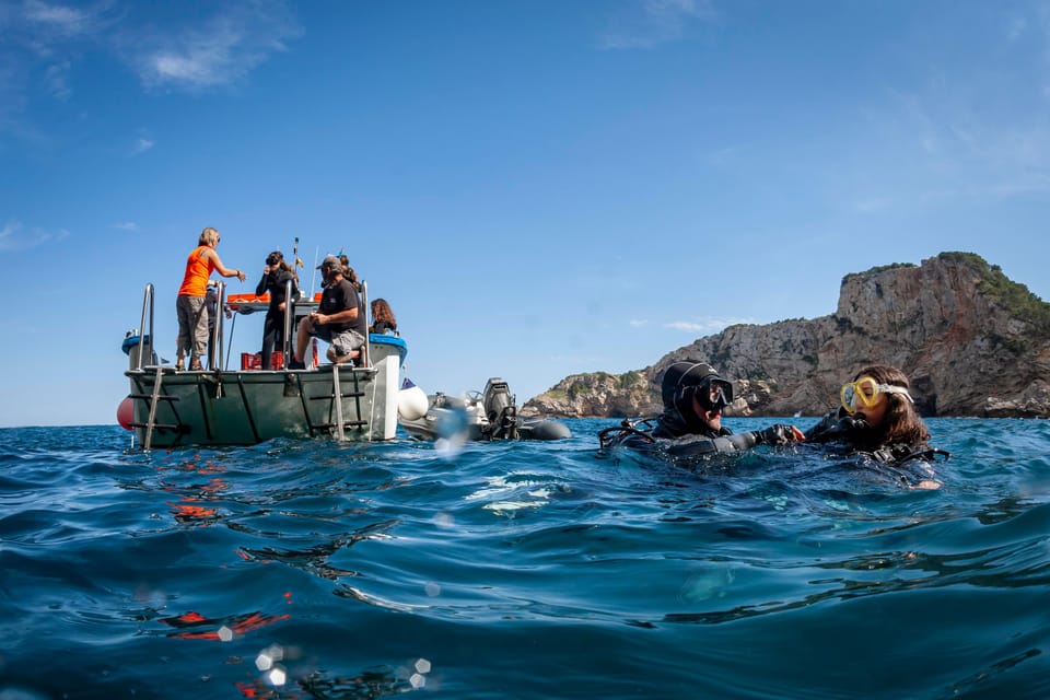 L'Estartit: Dive and Snorkeling in Montgrí Natural Park - Key highlights worth caring about