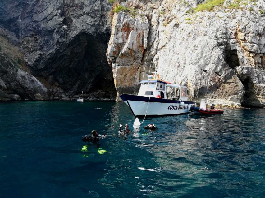 L'Estartit: Dive and Snorkeling in Montgrí Natural Park - Gear, equipment rules, and how to avoid common rookie mistakes