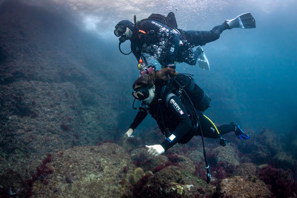 L'Estartit: Dive and Snorkeling in Montgrí Natural Park - Medaqua check-in: the pre-water part that sets you up to relax