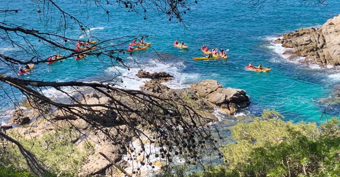 Lloret de Mar: 3-Hour Kayak and Snorkel Tour on Costa Brava - Who should book this tour (and who should skip it)