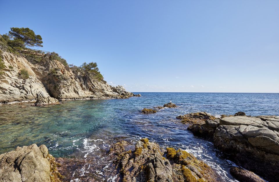 Lloret de Mar: Costa Brava Kayak Tour and Swimming - Costa Brava kayak route: Fenals to S’Agulla and back again