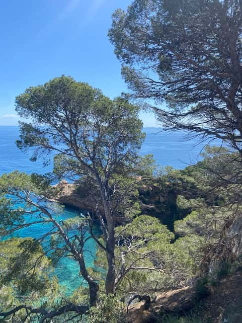 Lloret de Mar: Guided Sightseeing Tour in a 4x4 Vehicle - Beaches, Castel, hermitage: what each stop gives you