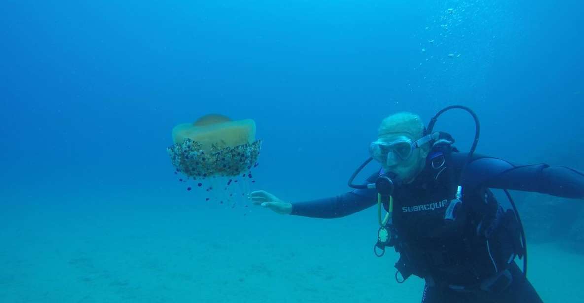 Lloret de Mar: Scuba Diving Experience no License Required - Key things that make this experience work