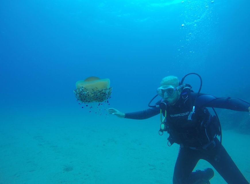 Lloret de Mar: Scuba Diving Experience no License Required - First Breath Underwater: what the 2-hour structure really does for beginners