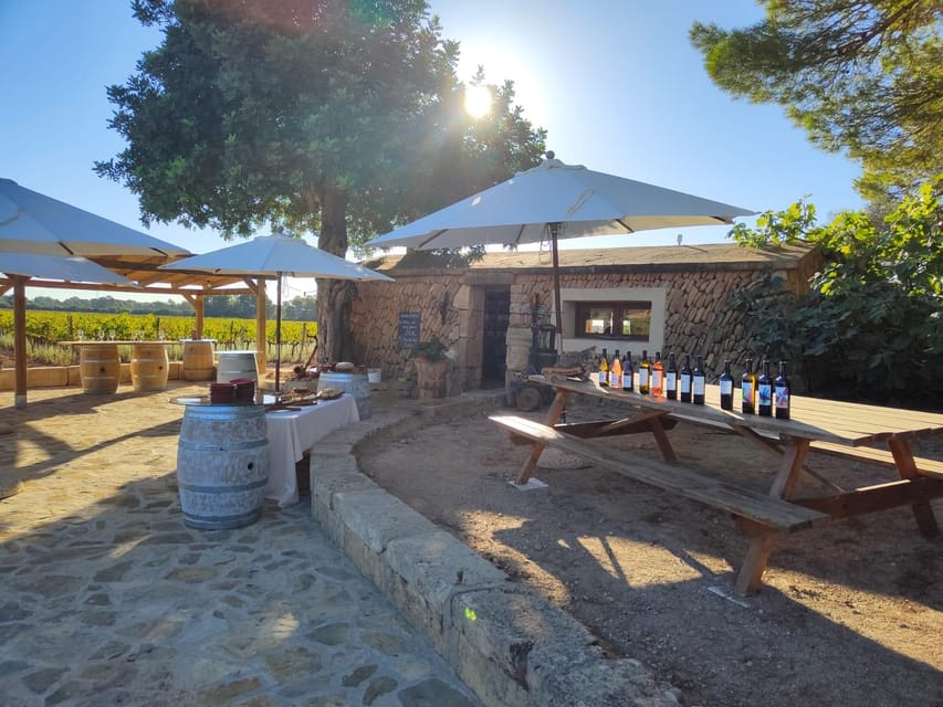 Llucmajor: Bodegas Bordoy Wine Tour - The winery walk: production room, barrel room, and vineyards