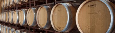 Llucmajor: Bodegas Bordoy Wine Tour - Timing and what 1.5 hours really means