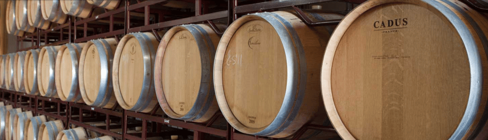 Llucmajor: Bodegas Bordoy Wine Tour - Timing and what 1.5 hours really means