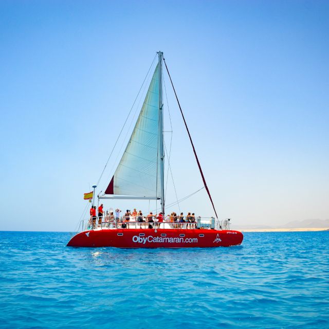 Lobos Island: 4-Hour Catamaran Trip with Lunch - Key highlights to know before you go