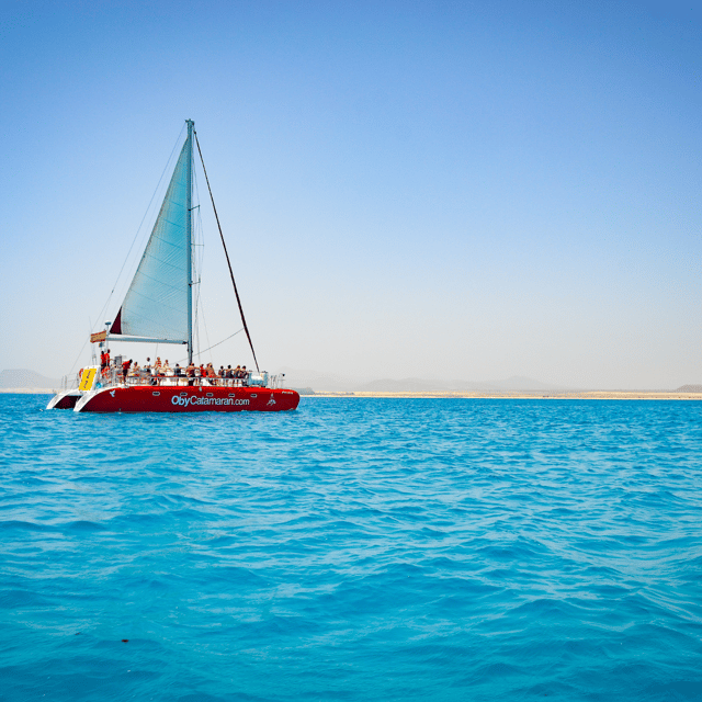Lobos Island: 4-Hour Catamaran Trip with Lunch - Onboard reality check: lunch, unlimited cold drinks, and how the crew runs it