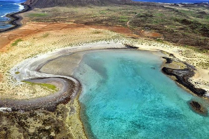Lobos Island - The dolphin route - Lunch and drinks on board: included value, with one smart planning step