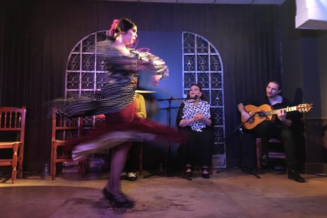 Local Flamenco Show with dinner at El Cortijo - The flamenco show at 9:00: two sets, a break, and close-up intensity