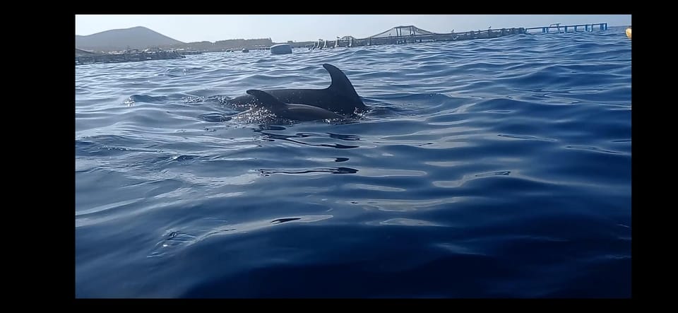 Los Cristianos: Kayak & Snorkel Tour with turtles and photos included - Getting started at El Carmen 4 (and what you do before you paddle)
