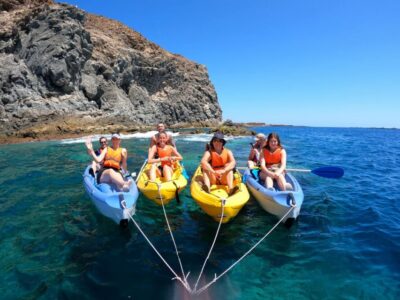 Los Cristianos: Kayaking and Snorkeling with Marine Wildlife - Palm-Mar Snorkeling: Your Best Chance for Fish and Sea Turtles