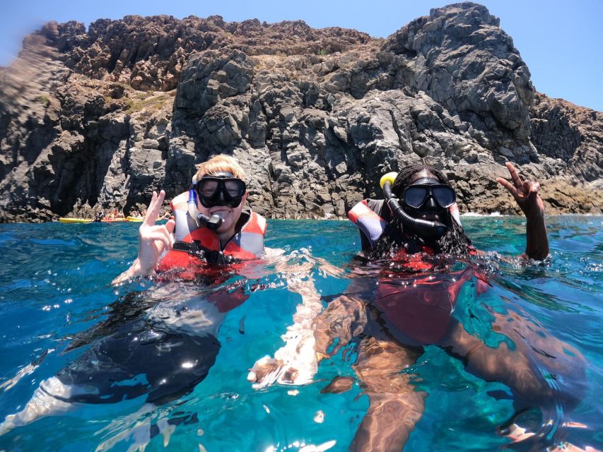Los Cristianos: Kayaking and Snorkeling with Marine Wildlife - Who This Tour Fits Best (and Who Might Prefer Something Else)