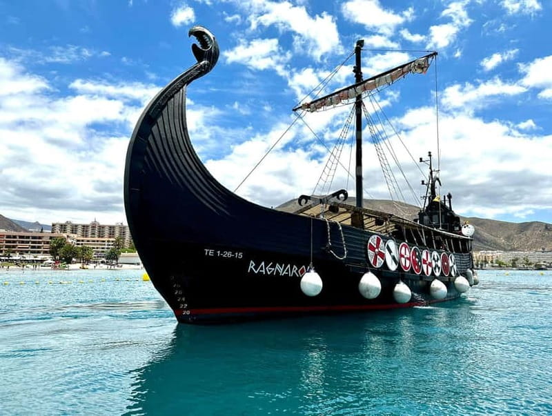 Los Cristianos: Whale Watching Cruise w/Swim Stop & Drinks - Why Tenerife’s South-Coast Route Matters for Dolphins and Whales