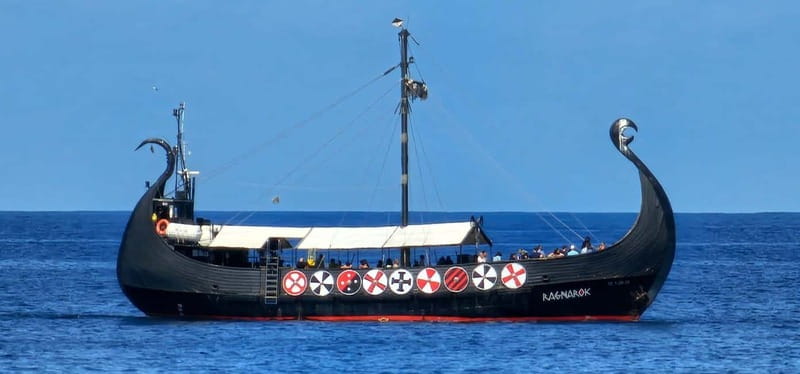 Los Cristianos: Whale Watching Cruise w/Swim Stop & Drinks - The Photo Stop and Guided Bits That Keep You Oriented