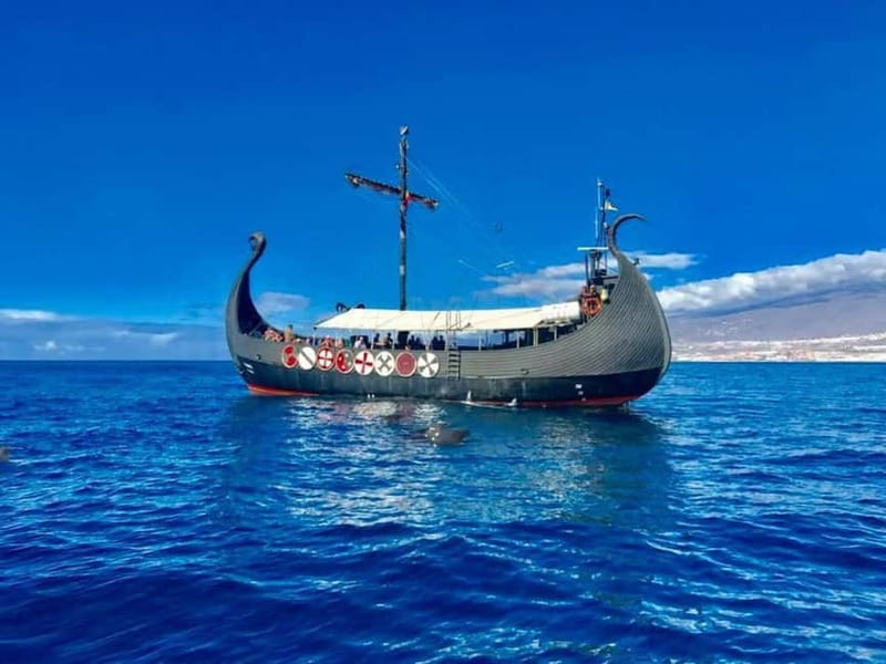 Los Cristianos: Whale Watching Cruise w/Swim Stop & Drinks - The Viking Ragnarok Experience at Sea (Without Losing the Wildlife Focus)
