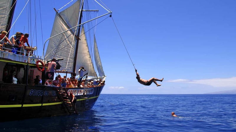 Los Gigantes: Dolphin & Whale Watching Tour on a Pirate Boat - Meeting Flipper Uno at Los Gigantes Harbor (Without Stress)