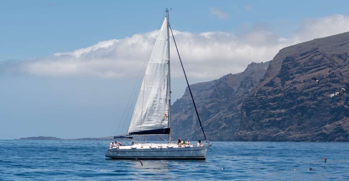 Los Gigantes: Sailing Excursion with Swimming, Drink & Tapas - Key things I’d zero in on