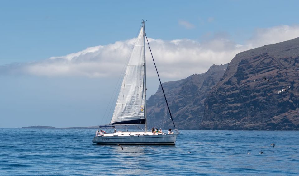 Los Gigantes: Sailing Excursion with Swimming, Drink & Tapas - Los Gigantes from the water: why this 3-hour format works