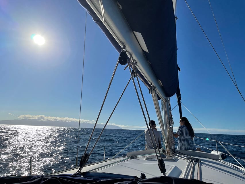 Los Gigantes: Sailing Excursion with Swimming, Drink & Tapas - Whale and dolphin spotting: how the search tends to play out