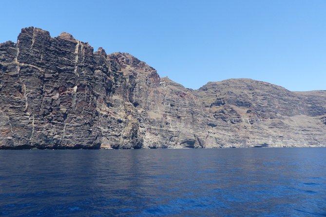 Los Gigantes Whale Watching Charter by Sail Boat - Lunch and drinks: included, filling, and diet-friendly
