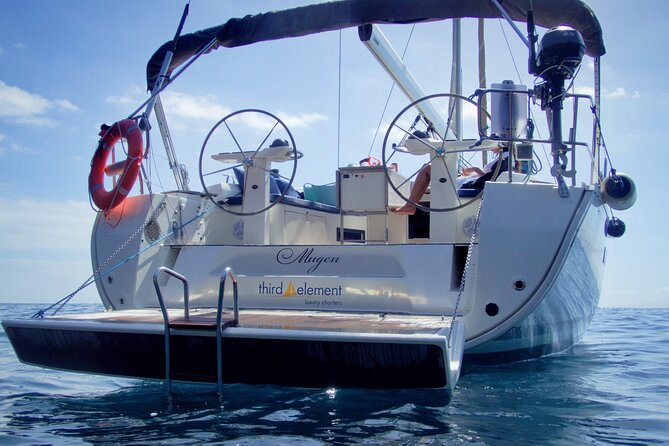Los Gigantes Whale Watching Charter by Sail Boat - Price and value: why $90.70 can make sense
